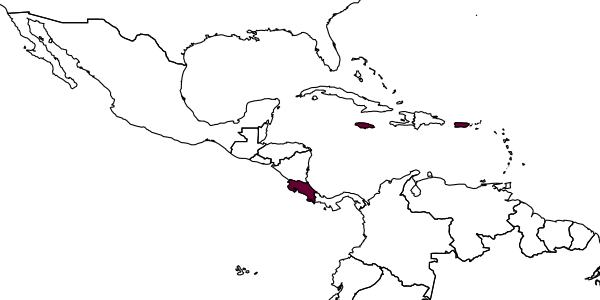 map of Tanaoneura portoricensis     (Crawford)